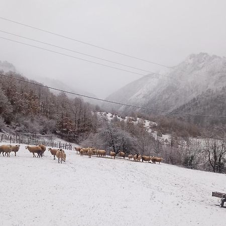 Hotel Family Owned Self Sufficient Eco Farm Tara à Pljevlja Extérieur photo