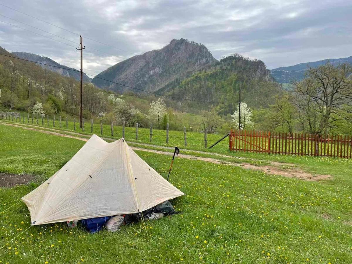 Hotel Family Owned Self Sufficient Eco Farm Tara à Pljevlja Extérieur photo