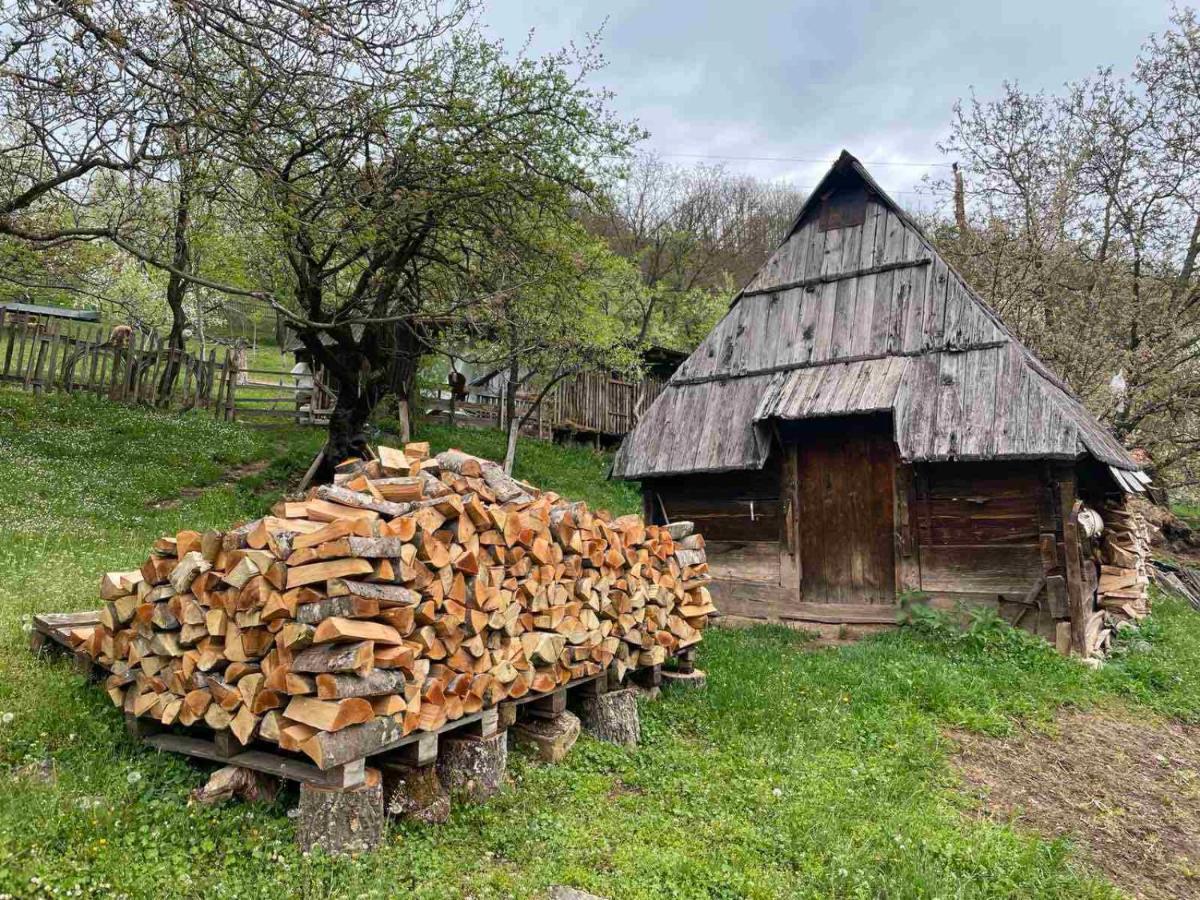 Hotel Family Owned Self Sufficient Eco Farm Tara à Pljevlja Extérieur photo