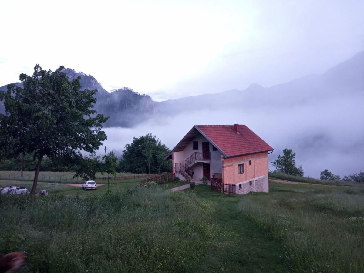 Hotel Family Owned Self Sufficient Eco Farm Tara à Pljevlja Extérieur photo