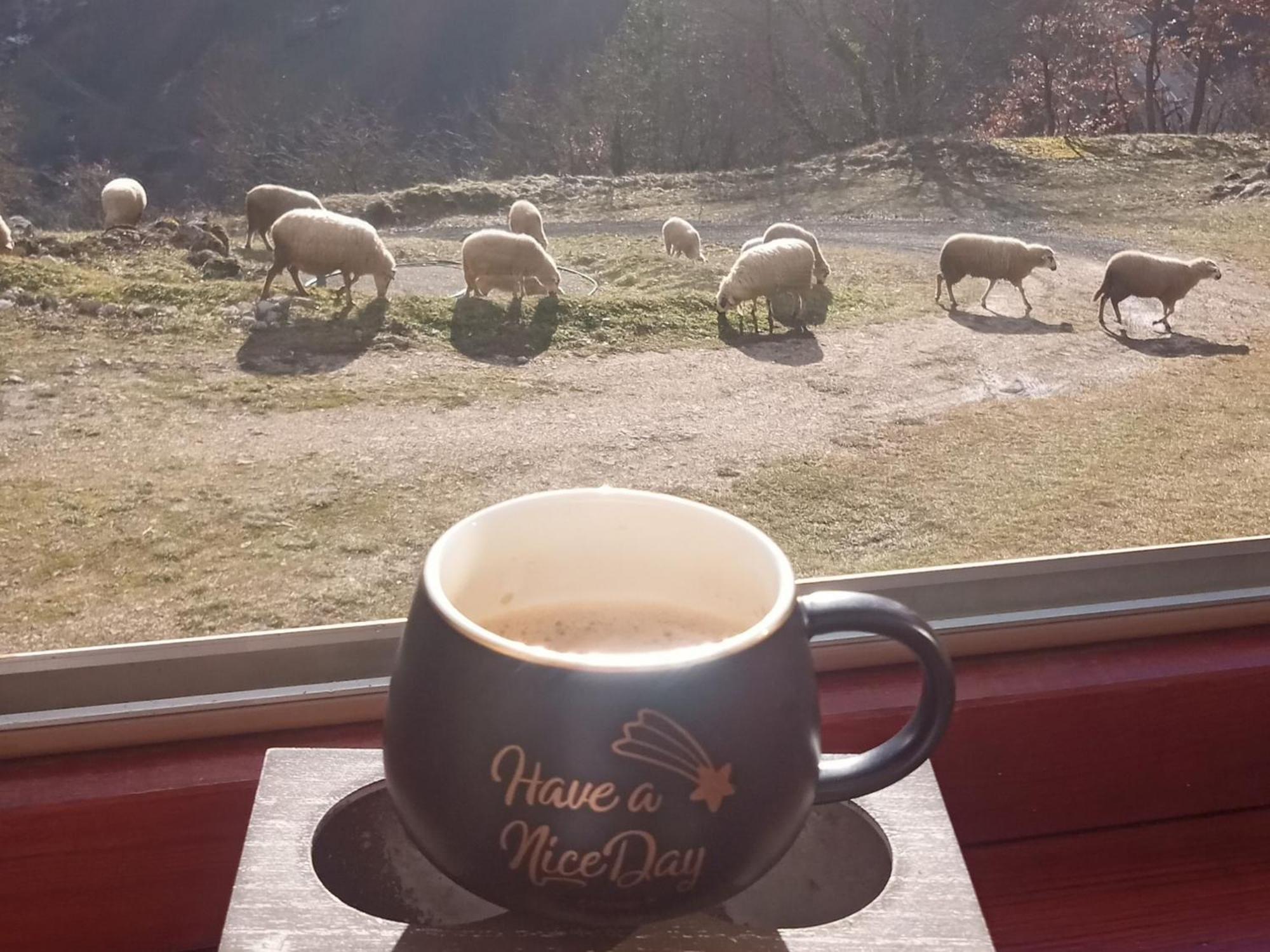 Hotel Family Owned Self Sufficient Eco Farm Tara à Pljevlja Extérieur photo