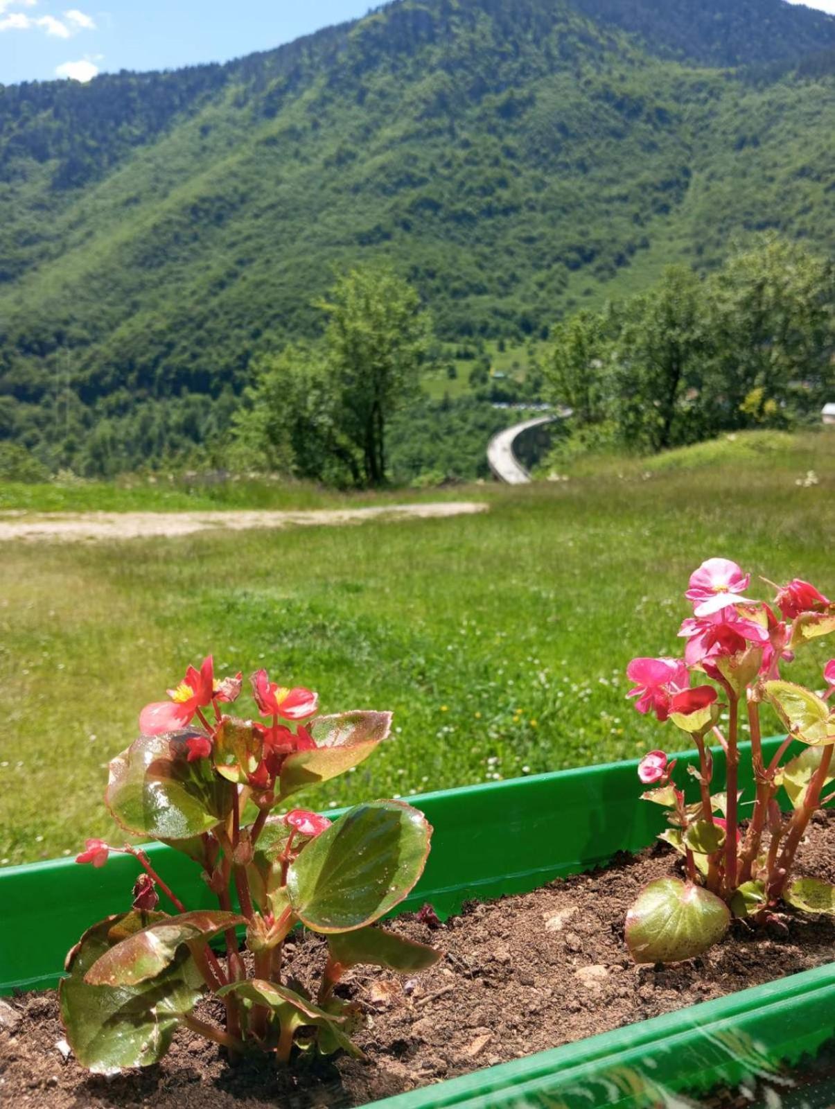 Hotel Family Owned Self Sufficient Eco Farm Tara à Pljevlja Extérieur photo